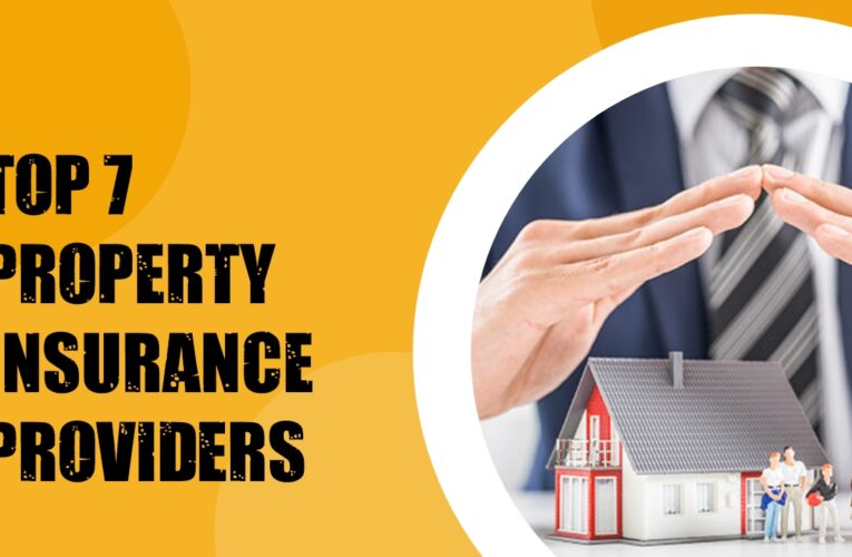 top 7 property insurance provider in the USA